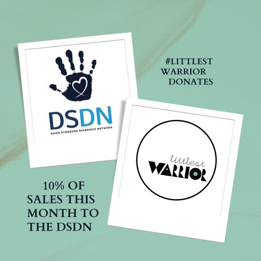 March 2023 Fundraiser - The DSDN