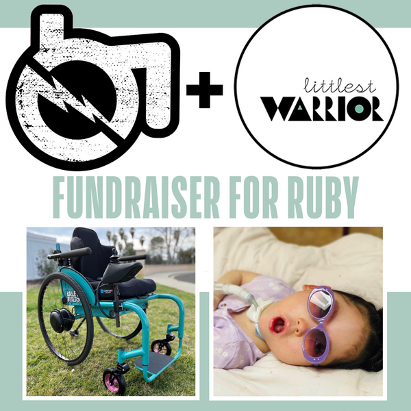 October 2022 Fundraiser - A Custom Wheelchair From Bailey Built For Ruby