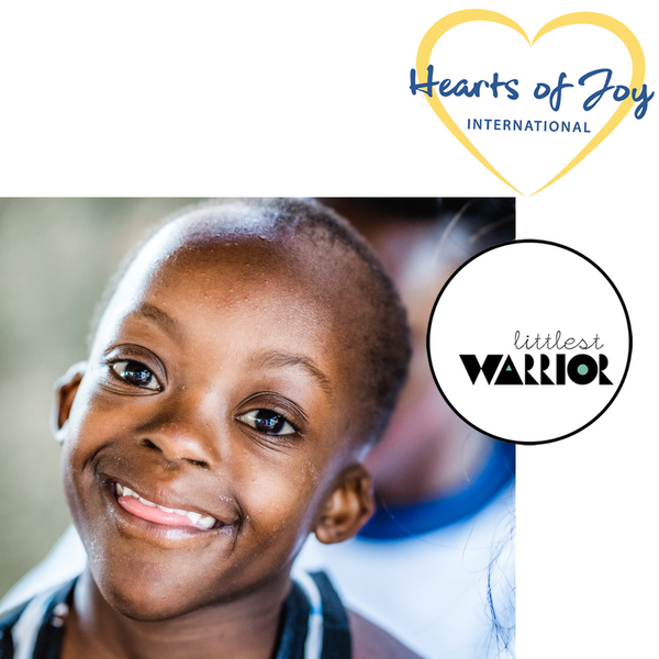 June 2023 Fundraiser - Hearts of Joy International